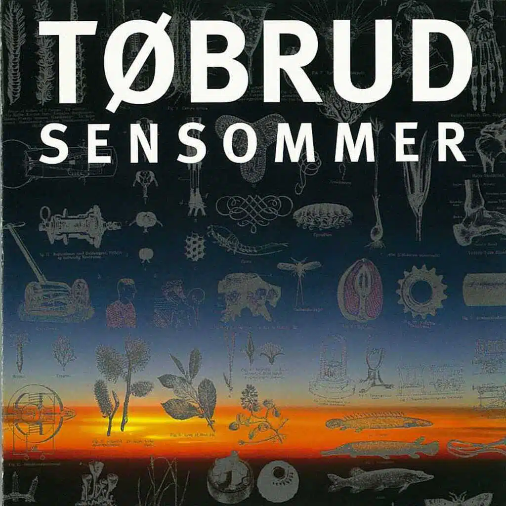 Tøbrud