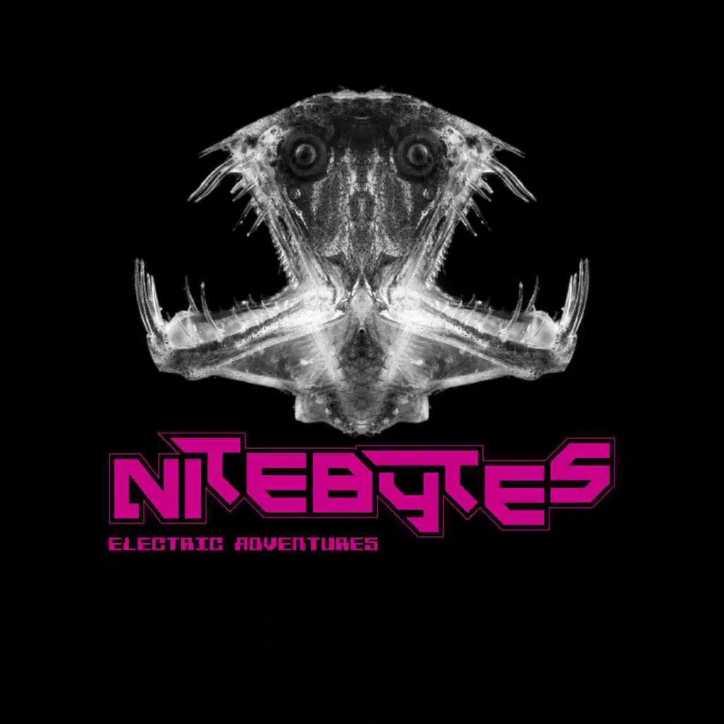 Nitebytes