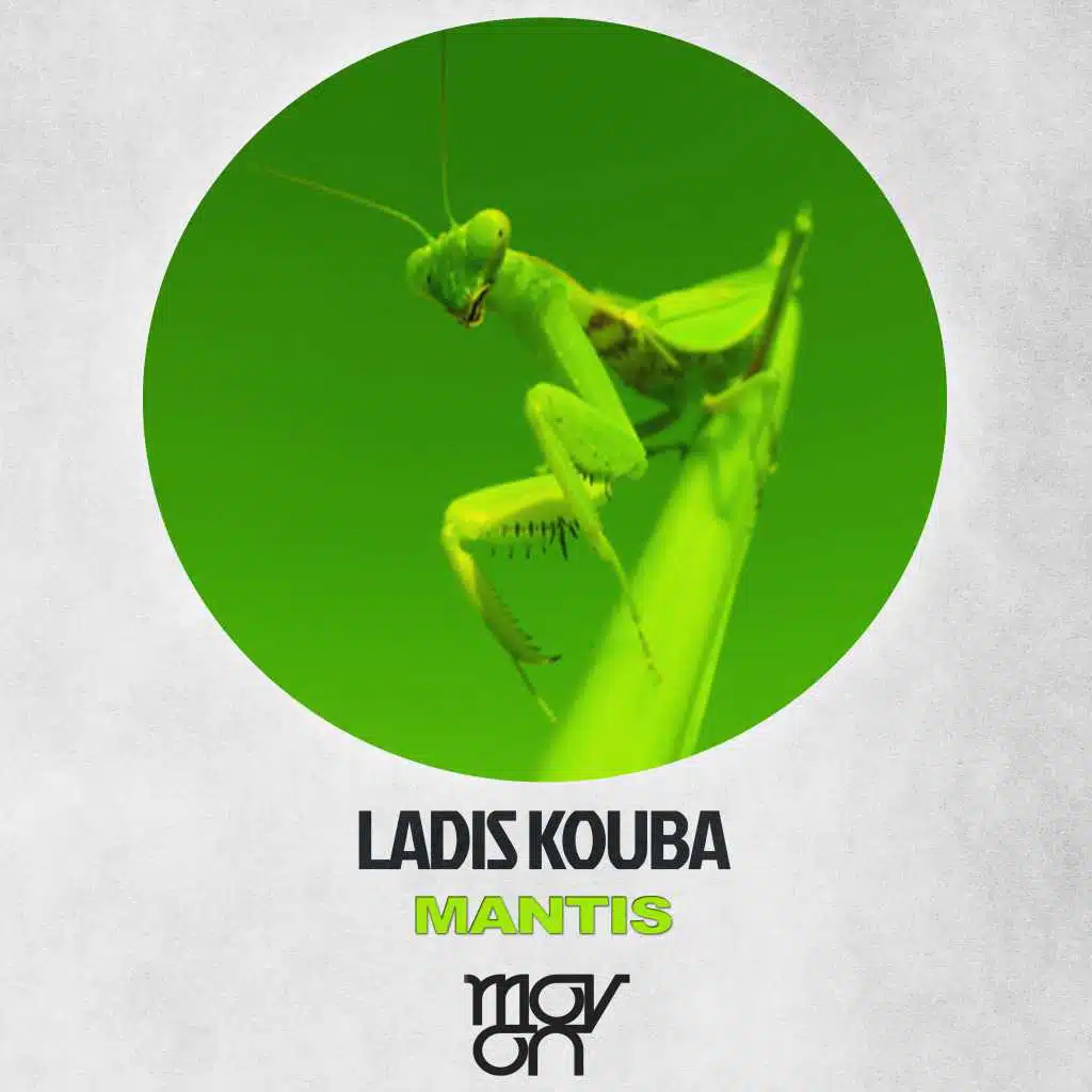 Mantis