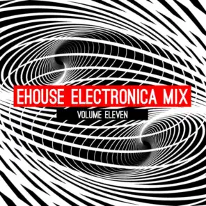 Ehouse: Electronica Mix, Vol. 11