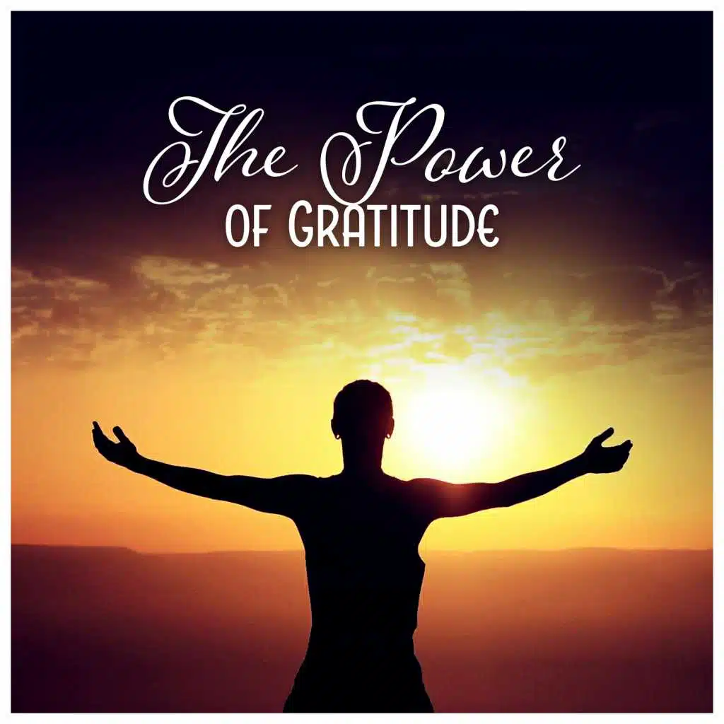 The Power of Gratitude