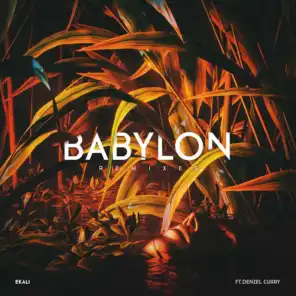 Babylon (feat. Denzel Curry) [Skrillex & Ronny J Remix]