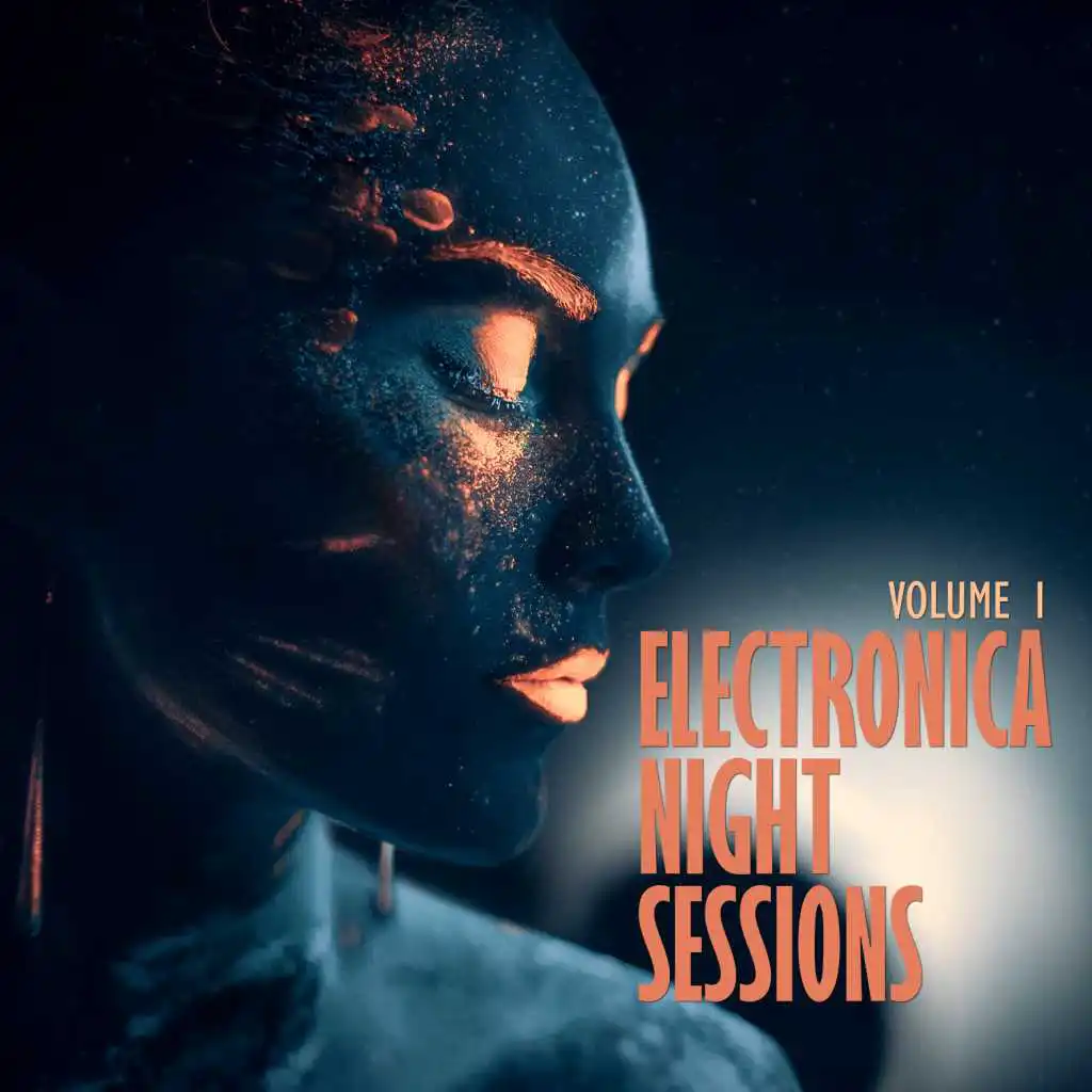 Electronica: Night Sessions, Vol. 1