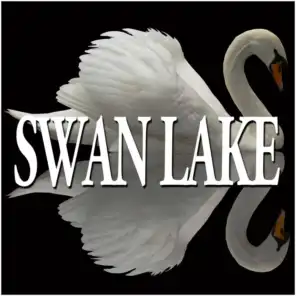 Suite from Swan Lake, Op. 20a: IV. Scene. Andante