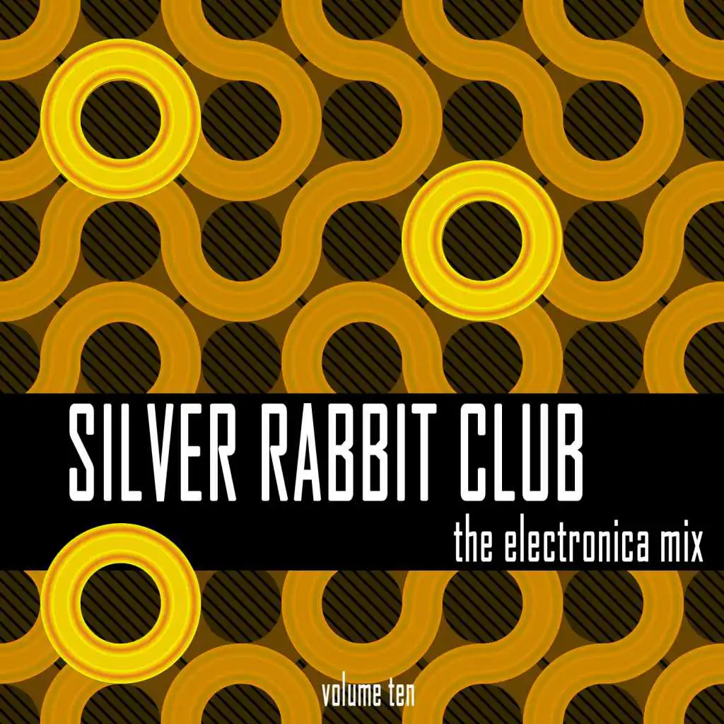 Silver Rabbit Club: The Electronica Mix, Vol. 10