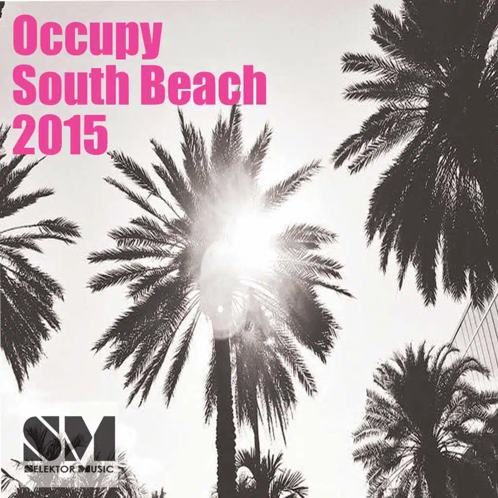 Ocuppy South Beach 2015