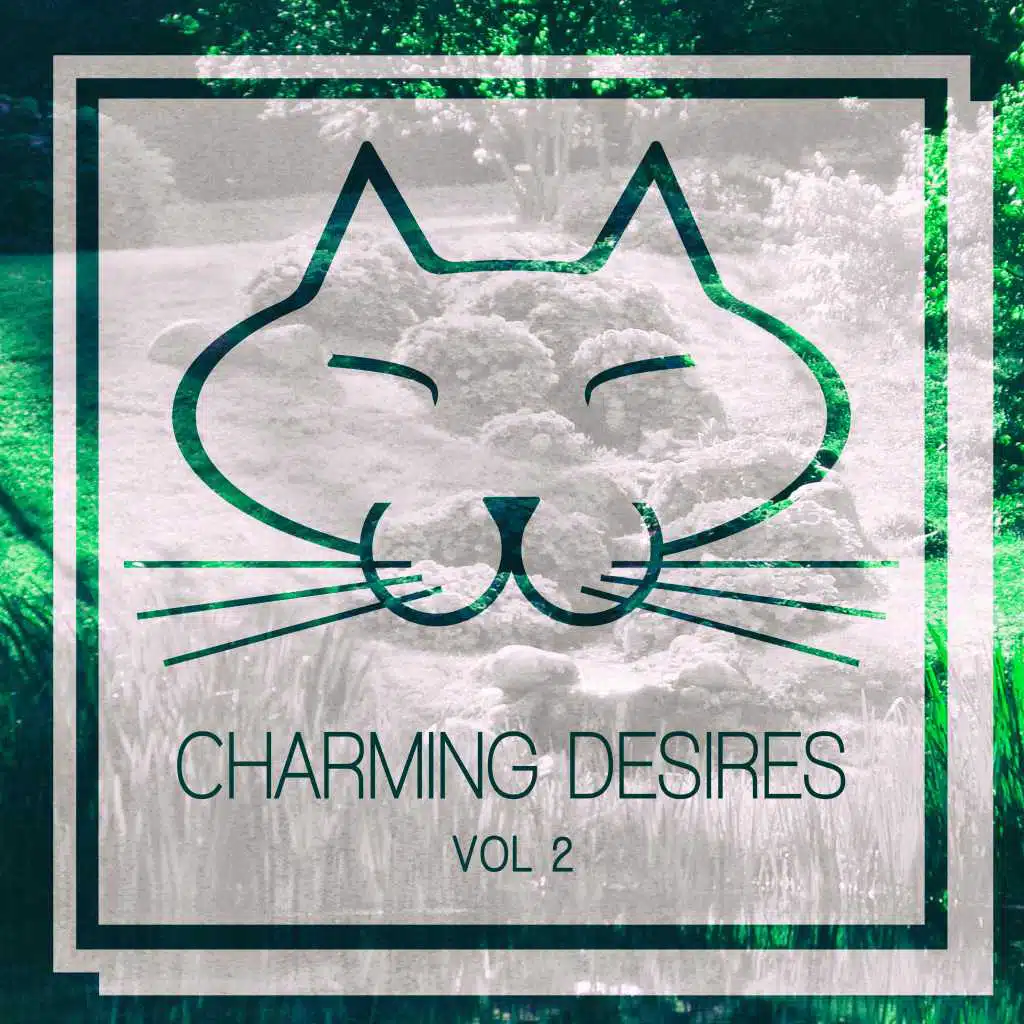 Green Lemon Drink Spilled