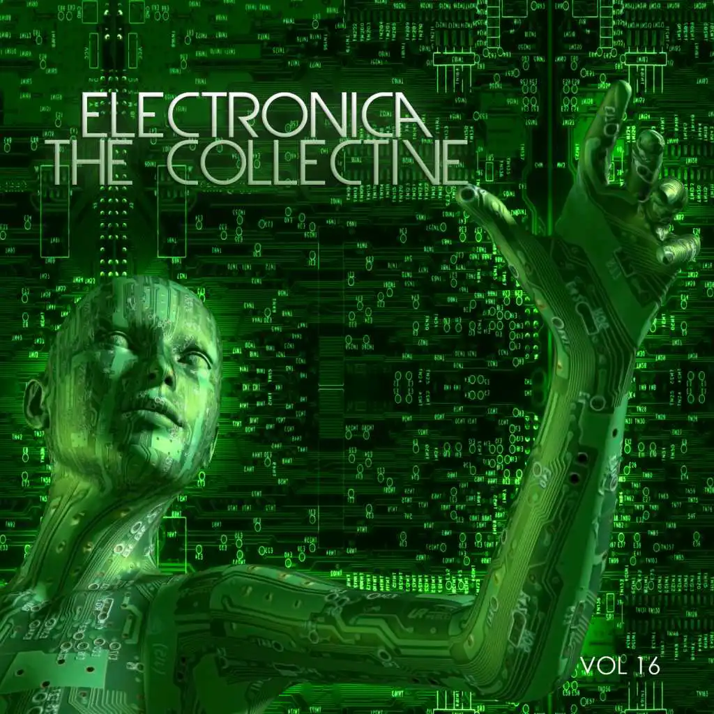 Electronica: The Collective, Vol. 16
