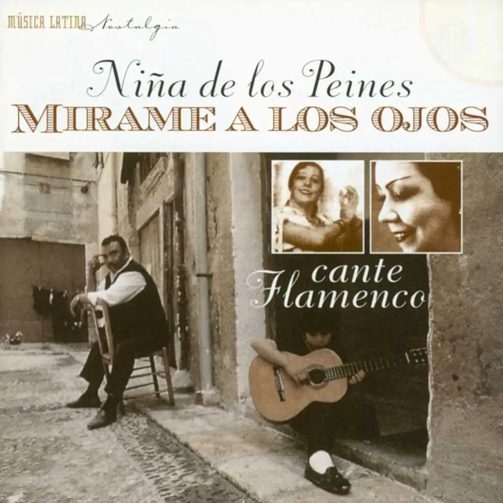 Mirame a Los Ojos - Cante Flamenco