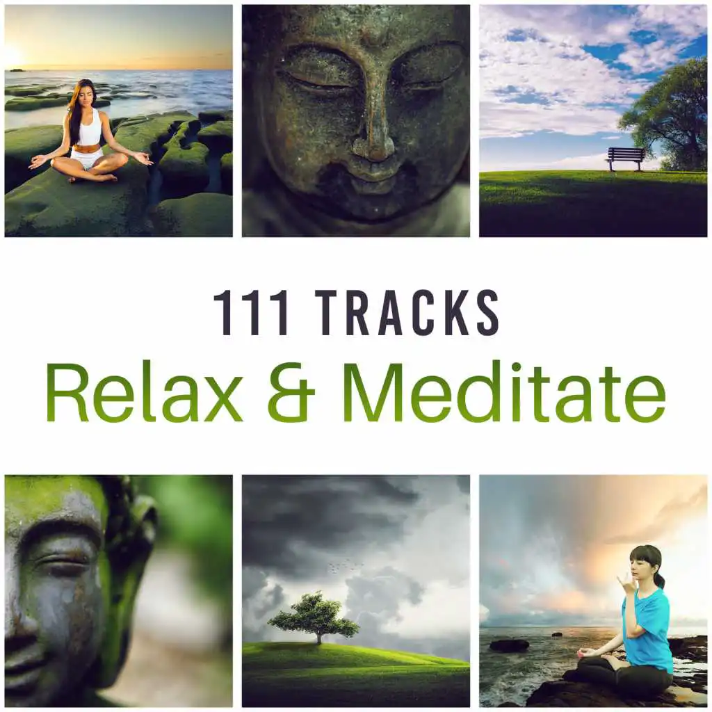 111 Tracks: Relax & Meditate