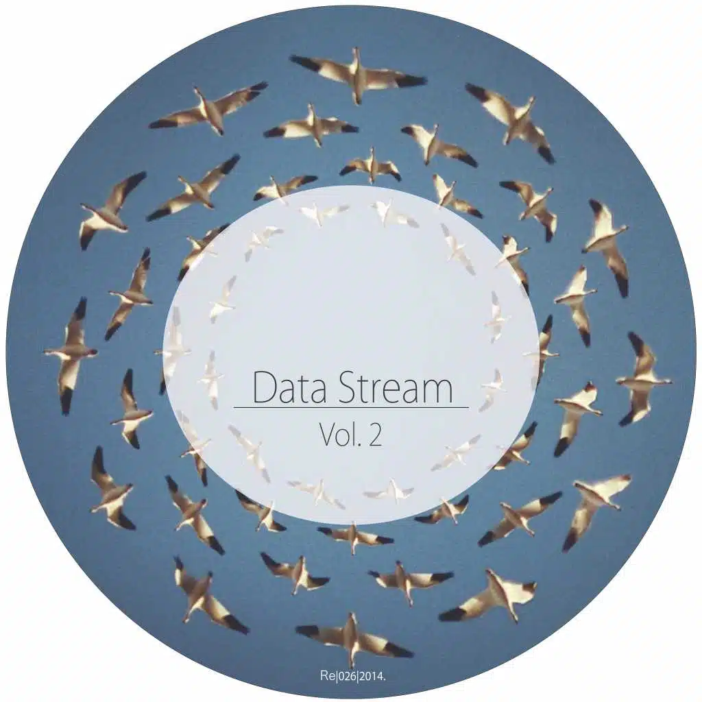 Data Stream, Vol. 2