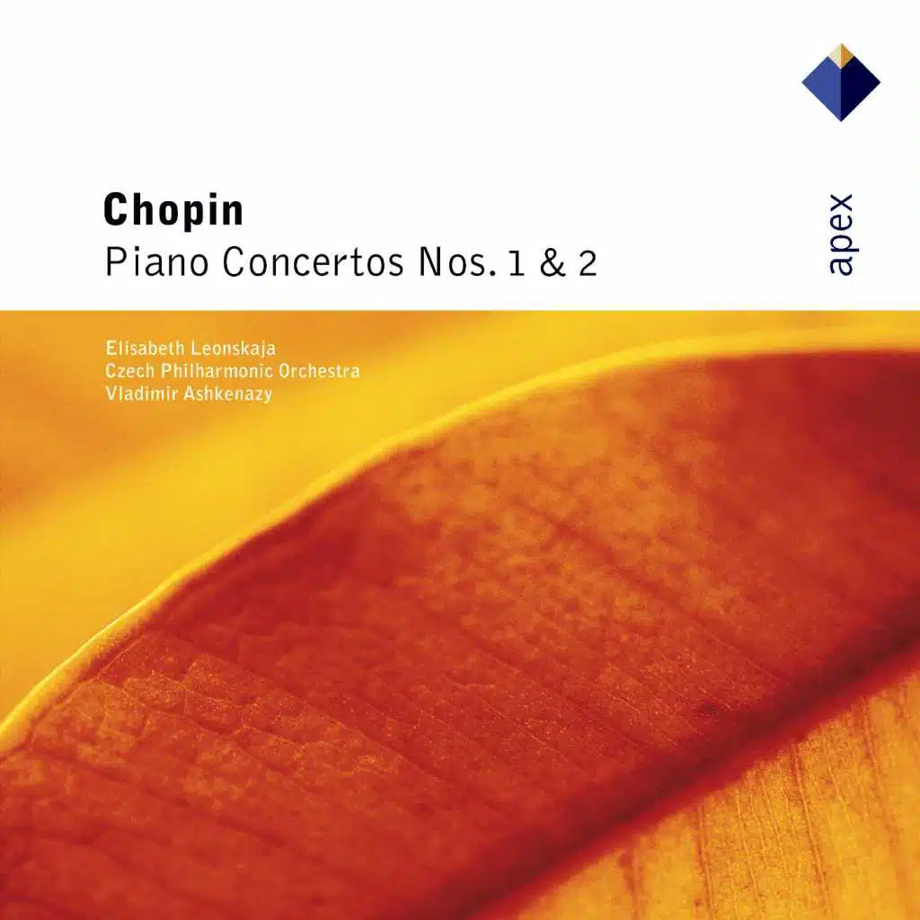 Piano Concerto No. 2 in F Minor, Op. 21: I. Maestoso