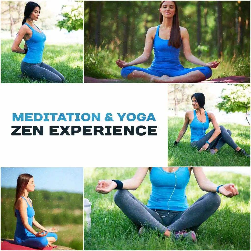 Meditation & Yoga – Zen Experience: 50 Soothing Sounds for Mindfulness Training, Deep Relaxation, Spiritual Healing, Breathing Techniques