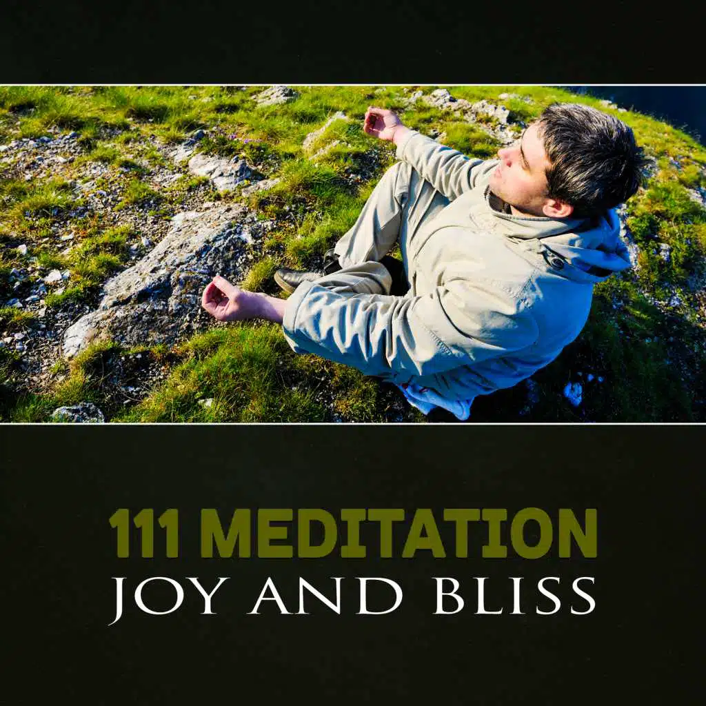 111 Meditation: Joy and Bliss – Light of Healing, Blessing Buddha, Stress and Fear Release, Pure Zen, Spiritual Songs of Awakening