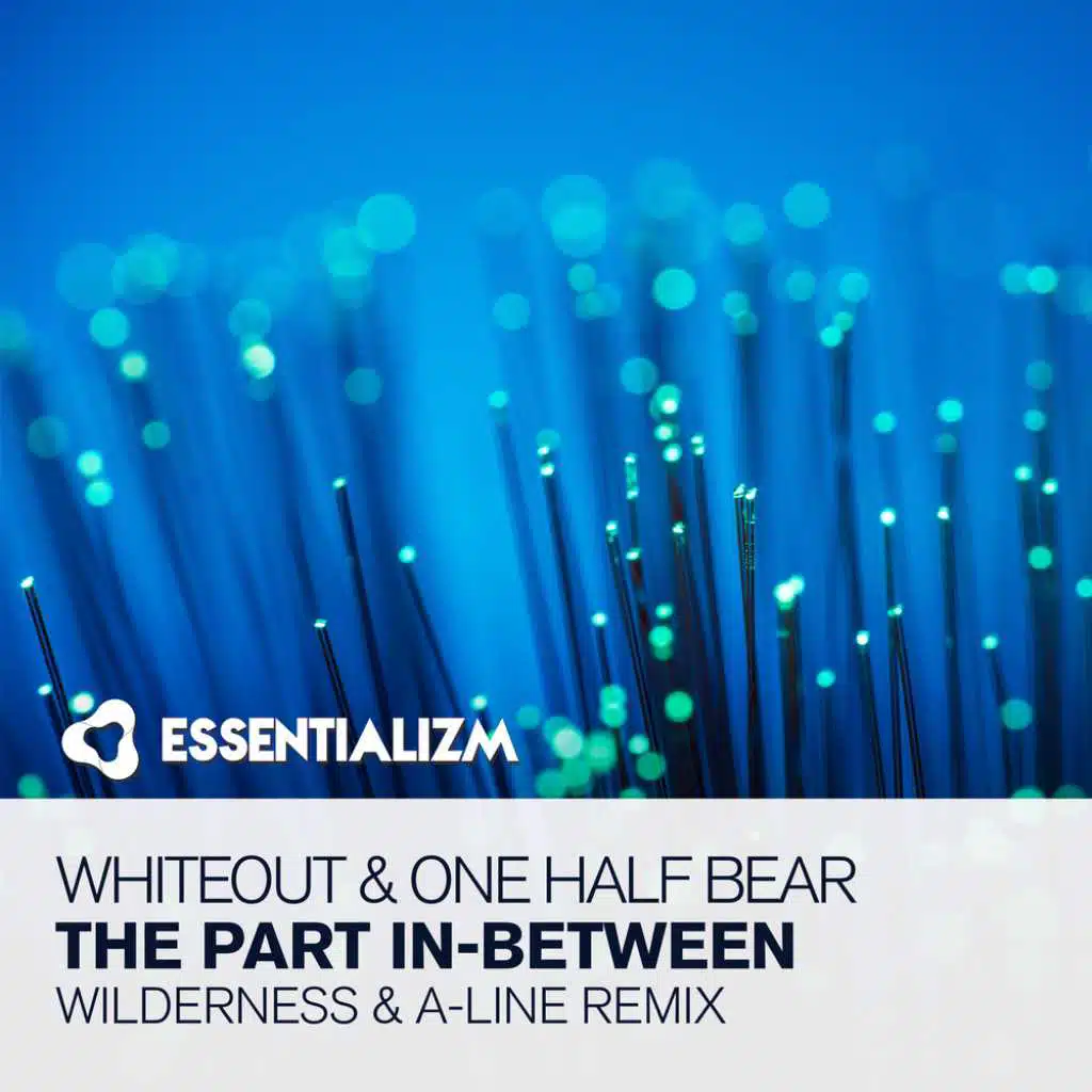 Whiteout & One Half Bear