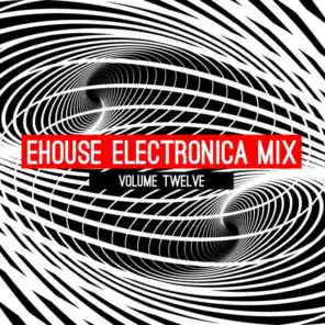 Ehouse: Electronica Mix, Vol. 12
