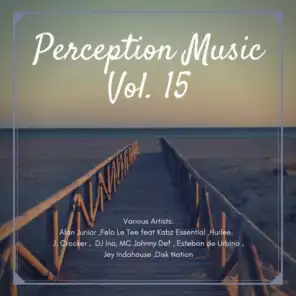 Perception Music, Vol. 15