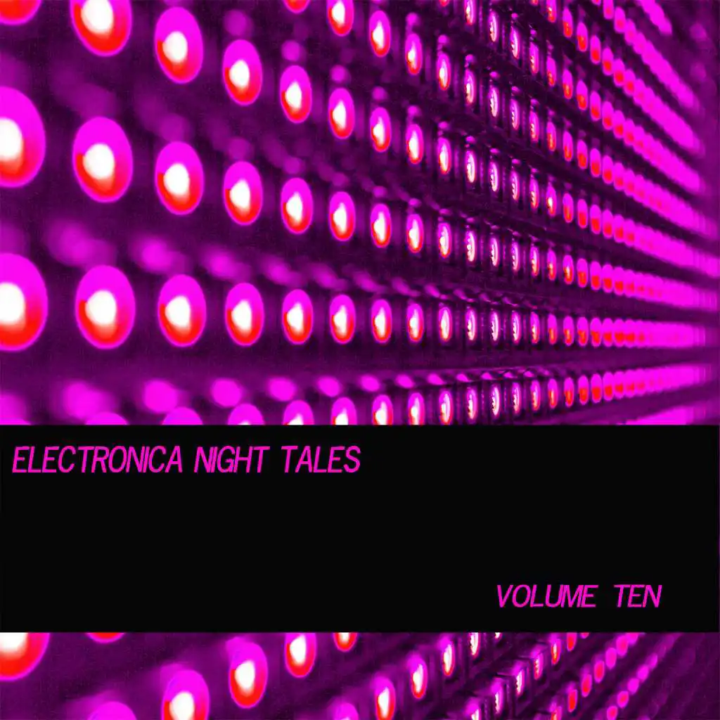Electronica Night Tales, Vol. 10