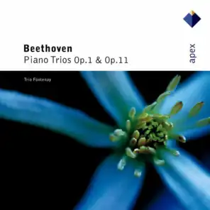 Beethoven : Piano Trios Nos 1, 2 & 4  -  Apex