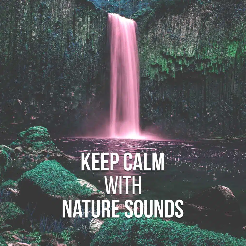 Deep Sounds of Nature
