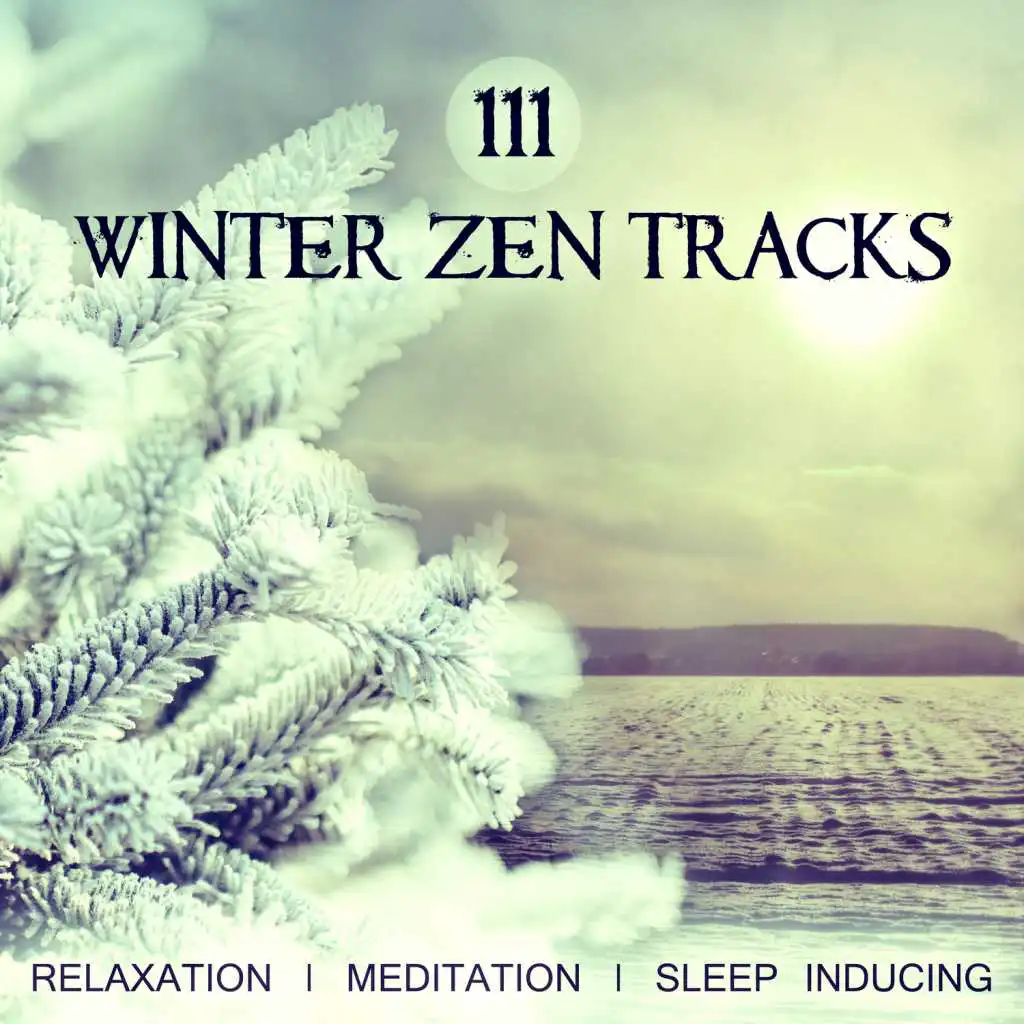 111 Winter Zen Tracks - Relaxation, Meditation, Sleep Inducing, Take Deep Breath with Soothing and Relaxing Music, Blissful Sounds of Nature to Be Calm and to Reach Inner Peace (Yoga Anti Stress)