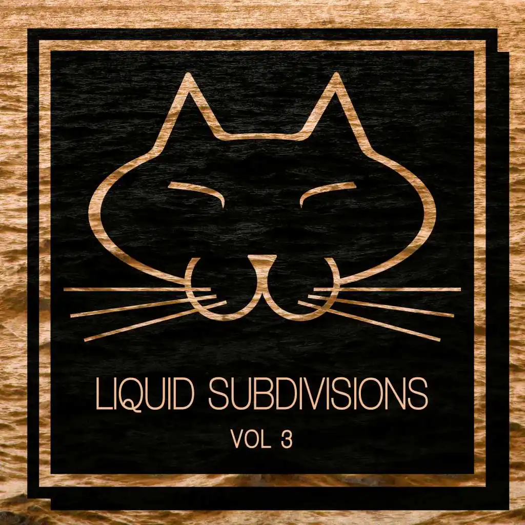 Liquid Subdivisions, Vol. 3