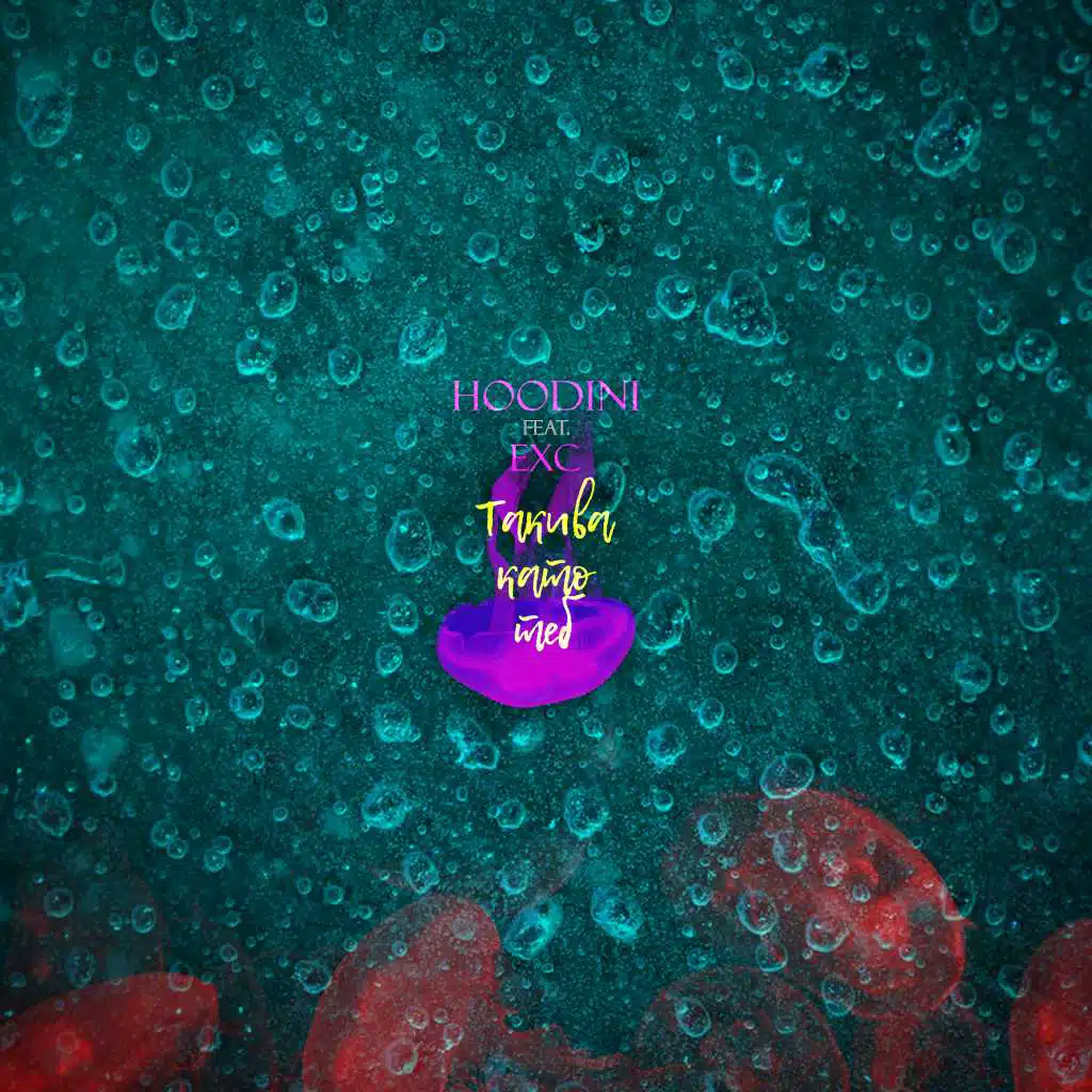Hoodini feat. EXC