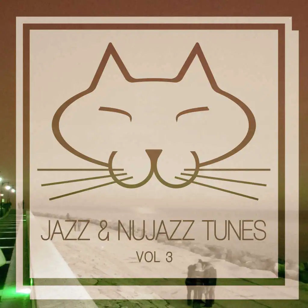 Jazz & Nujazz Tunes, Vol. 3