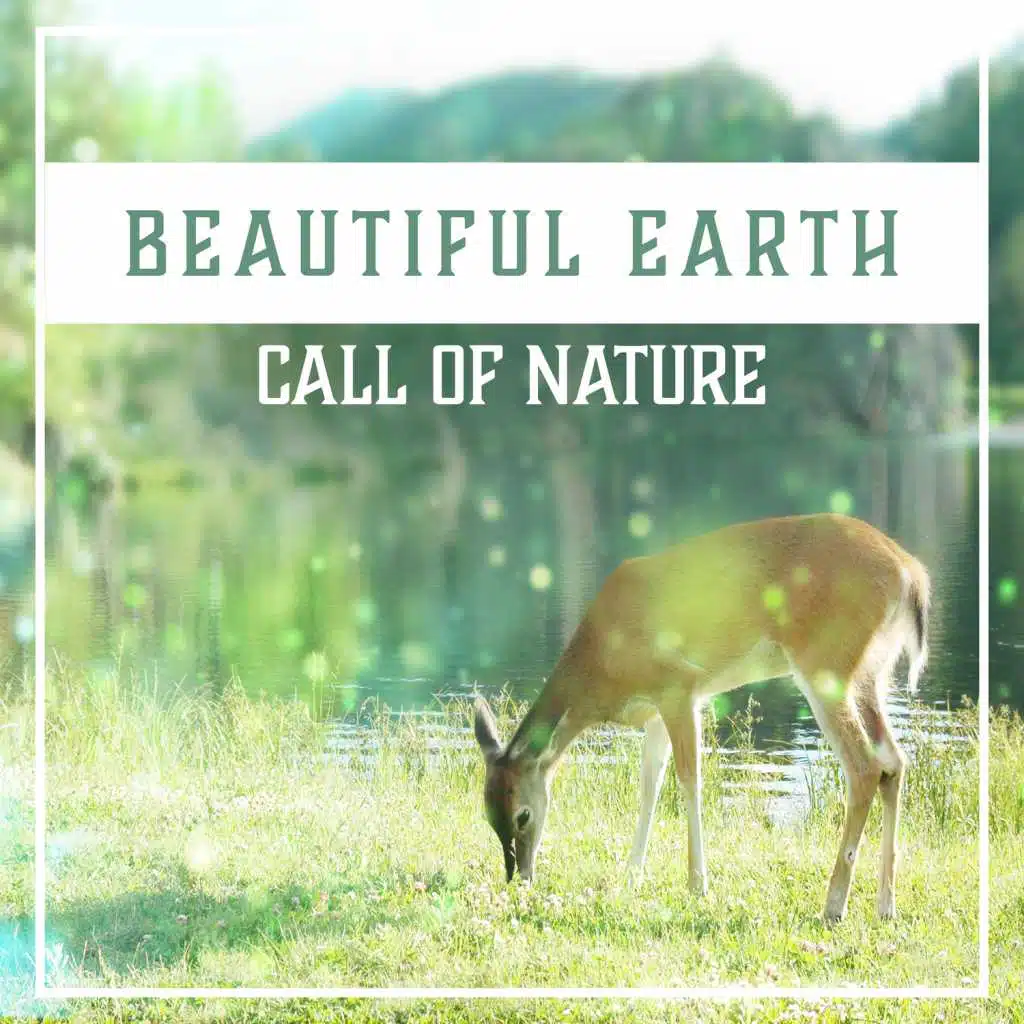 Beautiful Earth: Call of Nature, Harmony Sounds, Music for Relaxation, New Age Meditation, Wellness & Yoga, Audio Therapy