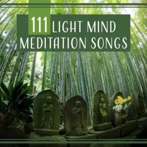 111 Light Mind Meditation Songs: Loving Kindness, Sacred Energy, Liquid Balance, Calm Oasis, Soul Cleansing, Self Hypnosis