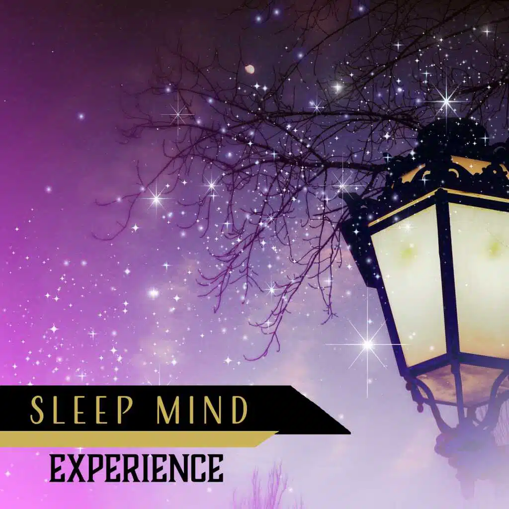 Sleep Mind Experience: Dreamy Journey, Deep Sleep Meditation, Soft Music to Help You Fall Asleep, New Age for Insomnia