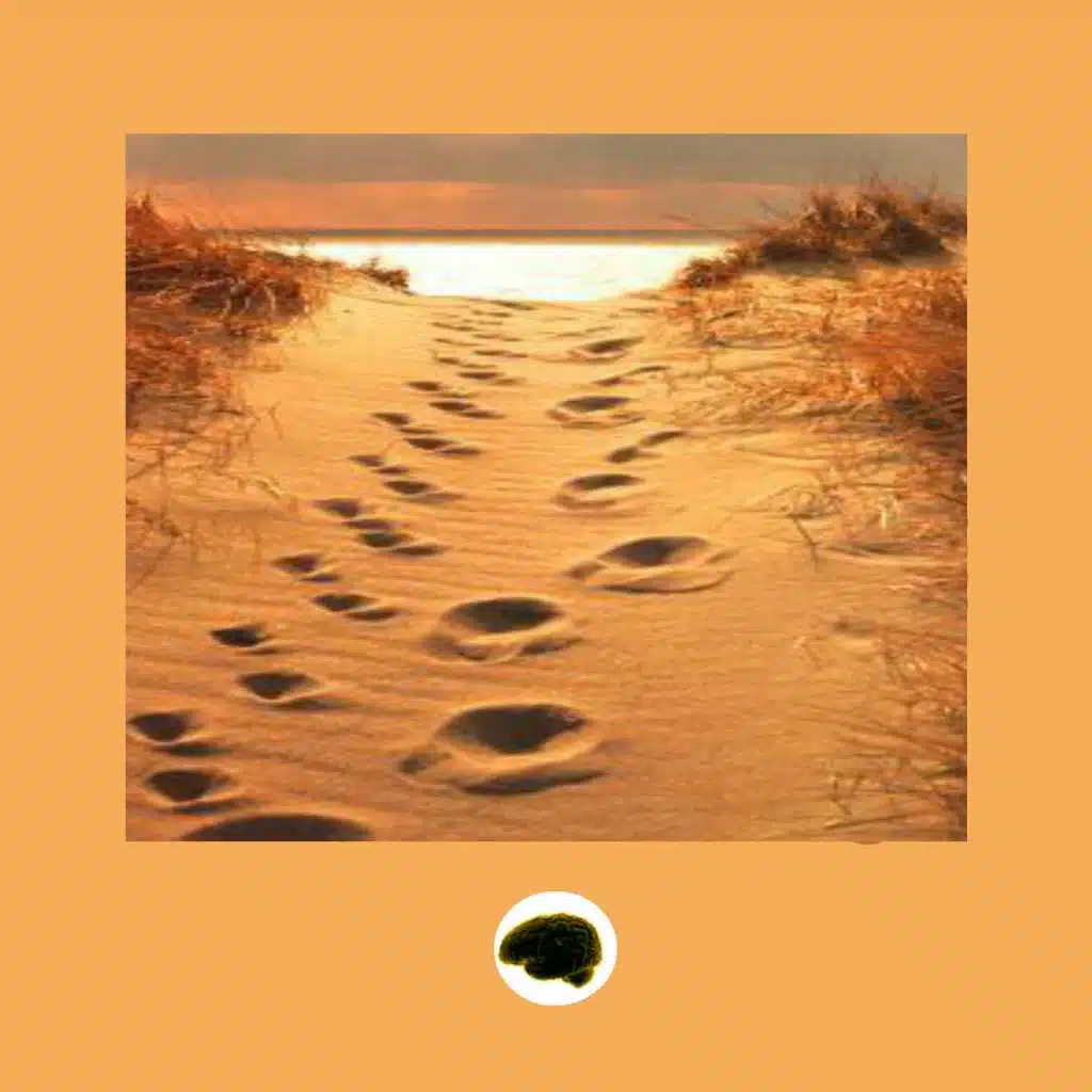 Walk With Me