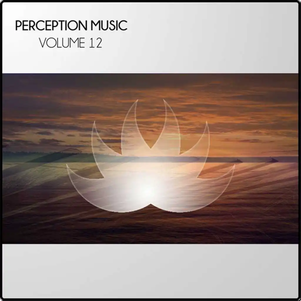 Perception Music Vol 12