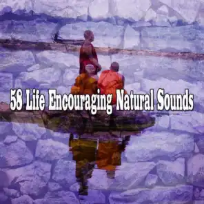 58 Life Encouraging Natural Sounds