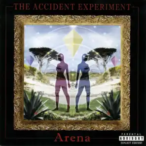 The Accident Experiment