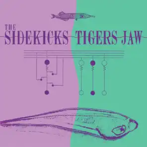 The Sidekicks/Tigers Jaw Split