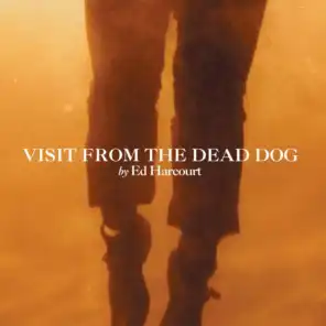 Visit From The Dead Dog