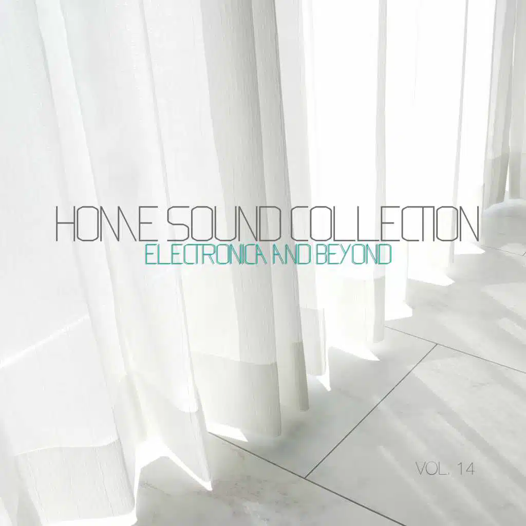 Home Sound Collection: Electronica & Beyond, Vol. 14
