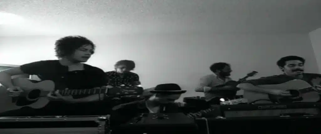 Gorilla Manor (Special Edition)