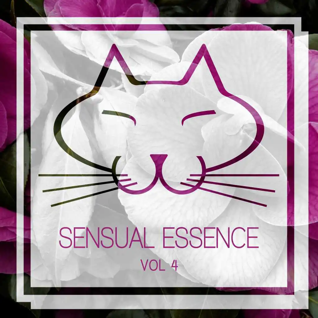 Sensual Essence, Vol. 4