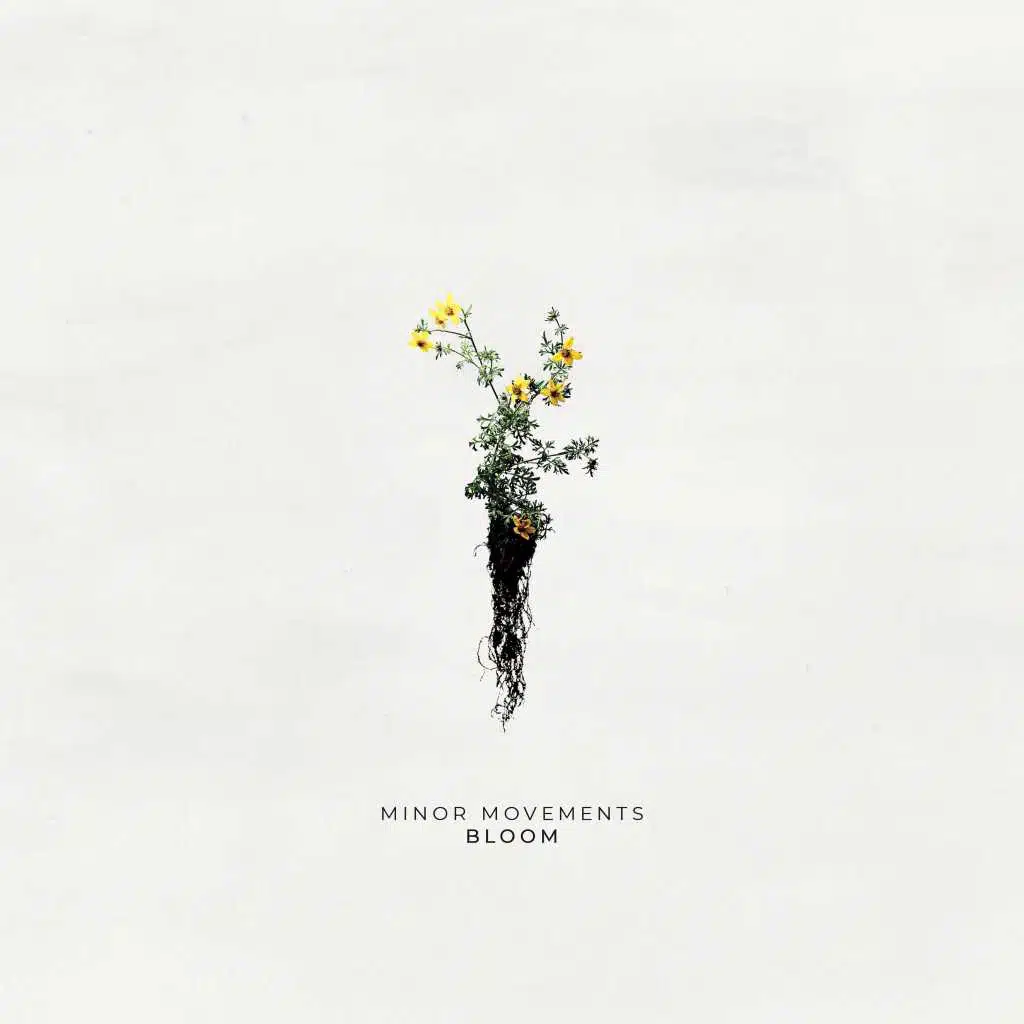 Bloom