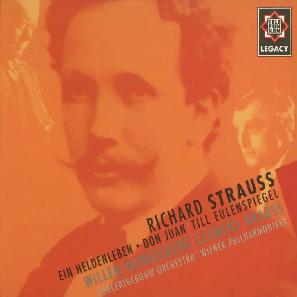 Strauss, Richard : Ein Heldenleben Op.40 : V Des Helden Walstatt