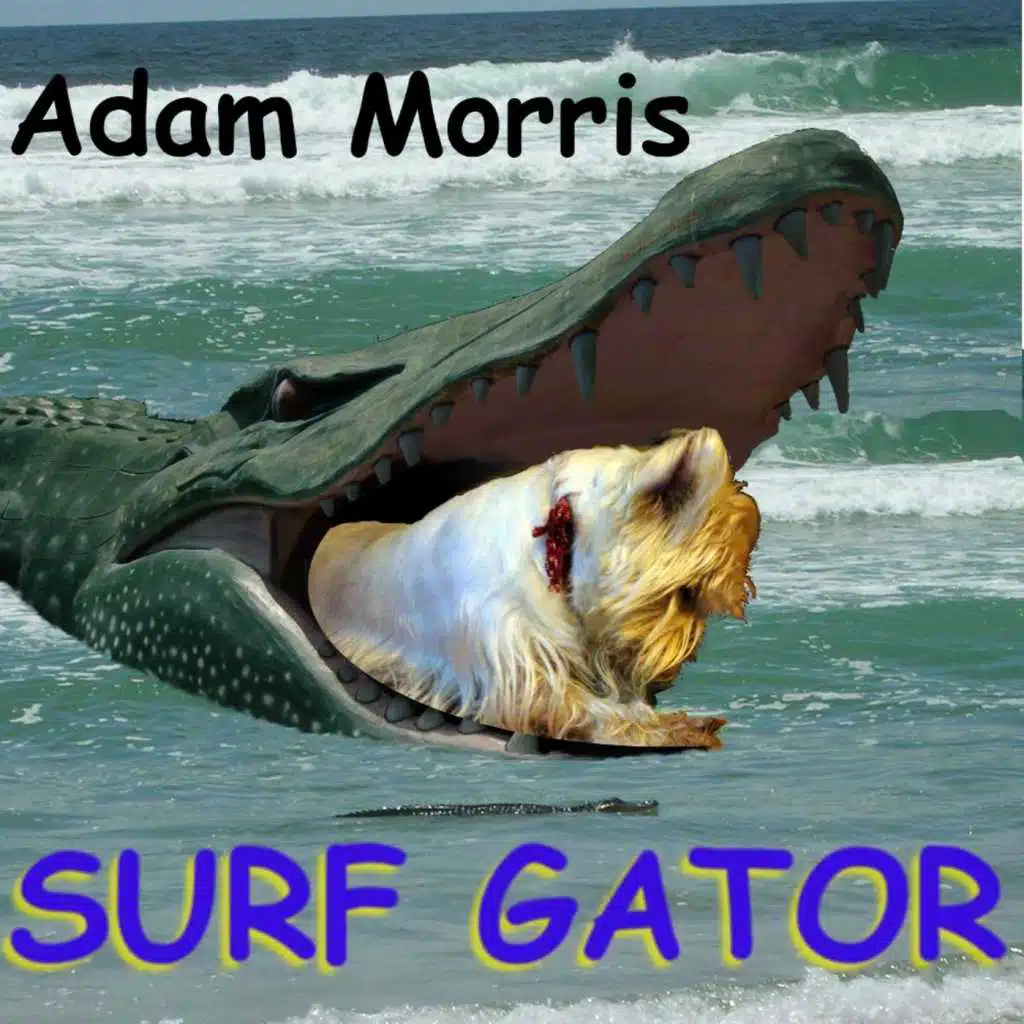 Surf Gator