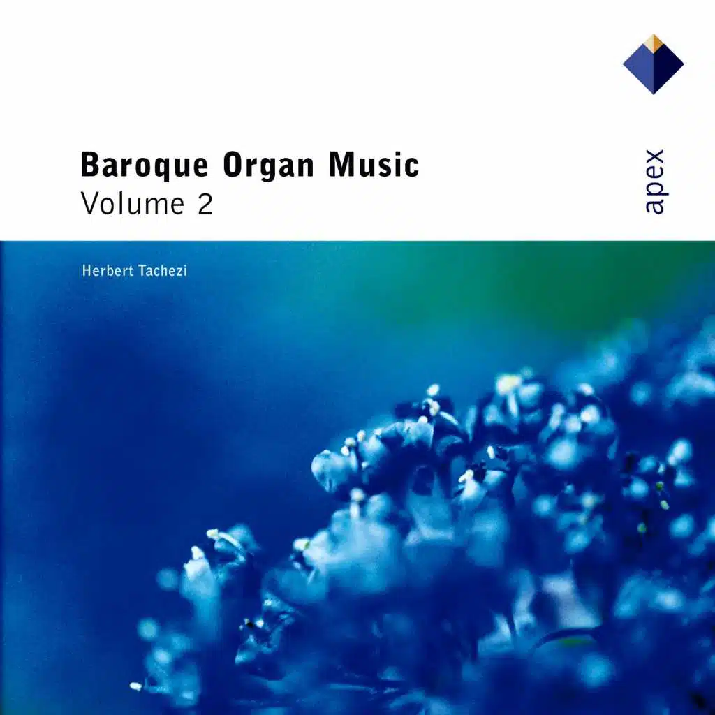 Baroque Organ Music Vol.2  -  Apex