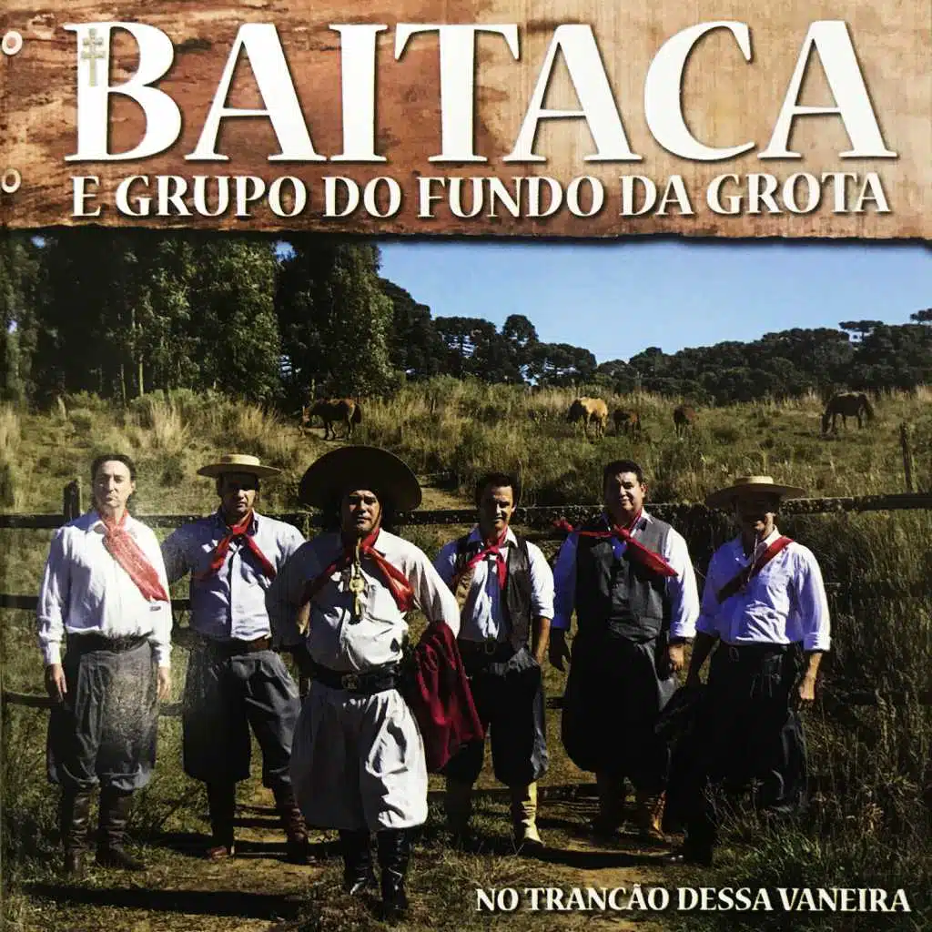Baitaca & Grupo Do Fundo Da Grota