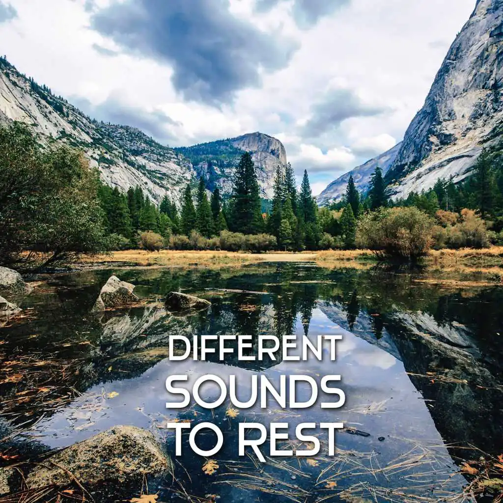 Different Sounds to Rest