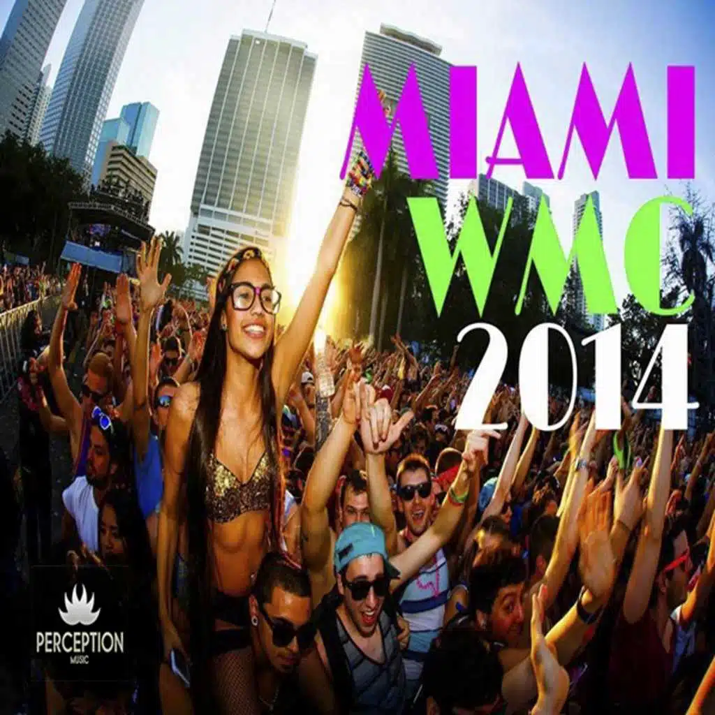 Gotta Feel (Wmc Tribute Mix)