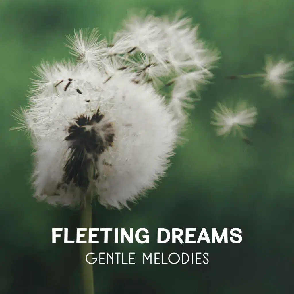 Fleeting Dreams – Gentle Melodies for Deep Relaxation, Soothing Music to Reach Inner Peace, Calm Falling Asleep