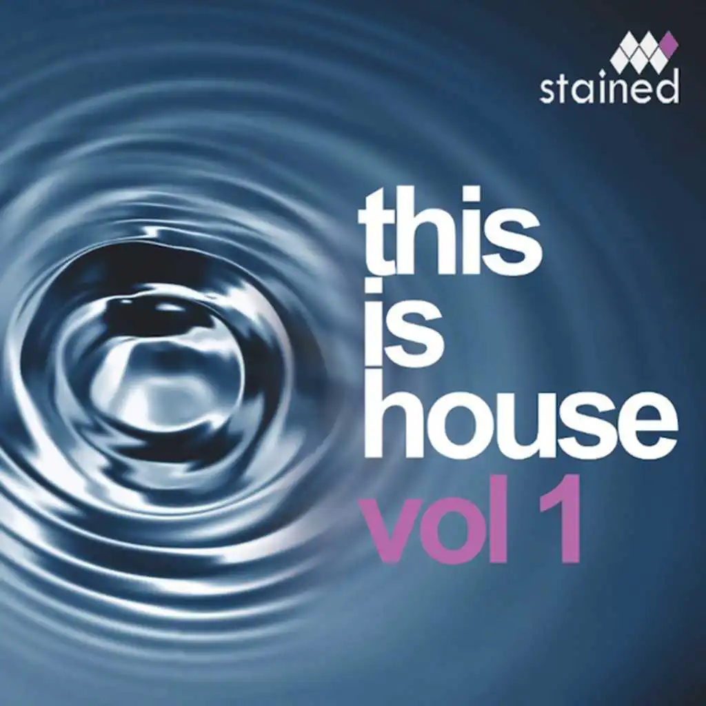 This Is House Vol 1