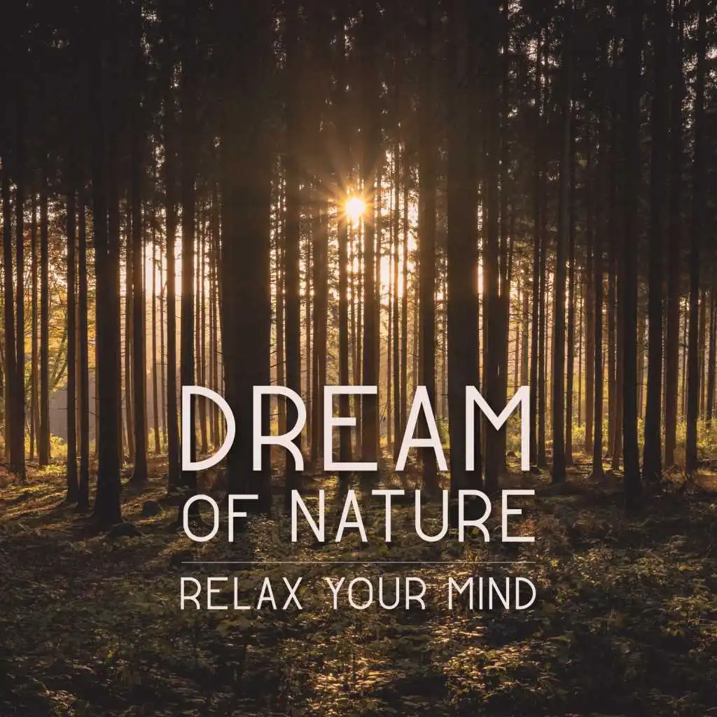 Dream of Nature – Relax Your Mind, Soothing Sounds for Meditation, Stress Less